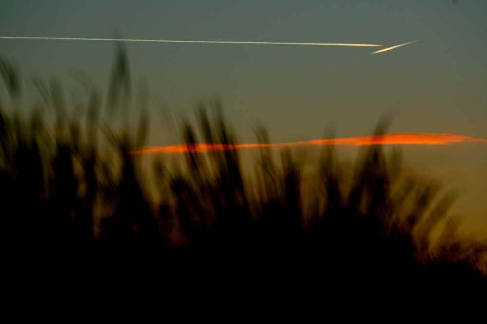 Murray Darling Wetlands