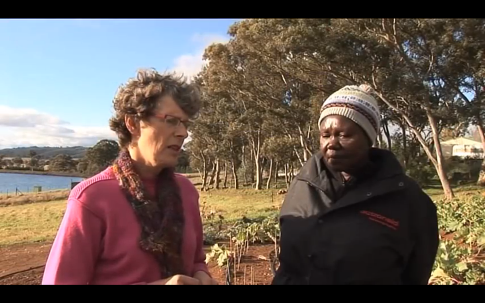 Screen shot 2014-11-18 at 12.45.01 PM